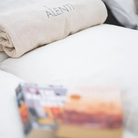 Alenti Hotel&restaurant